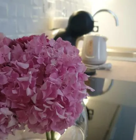 Appartement Maregare *